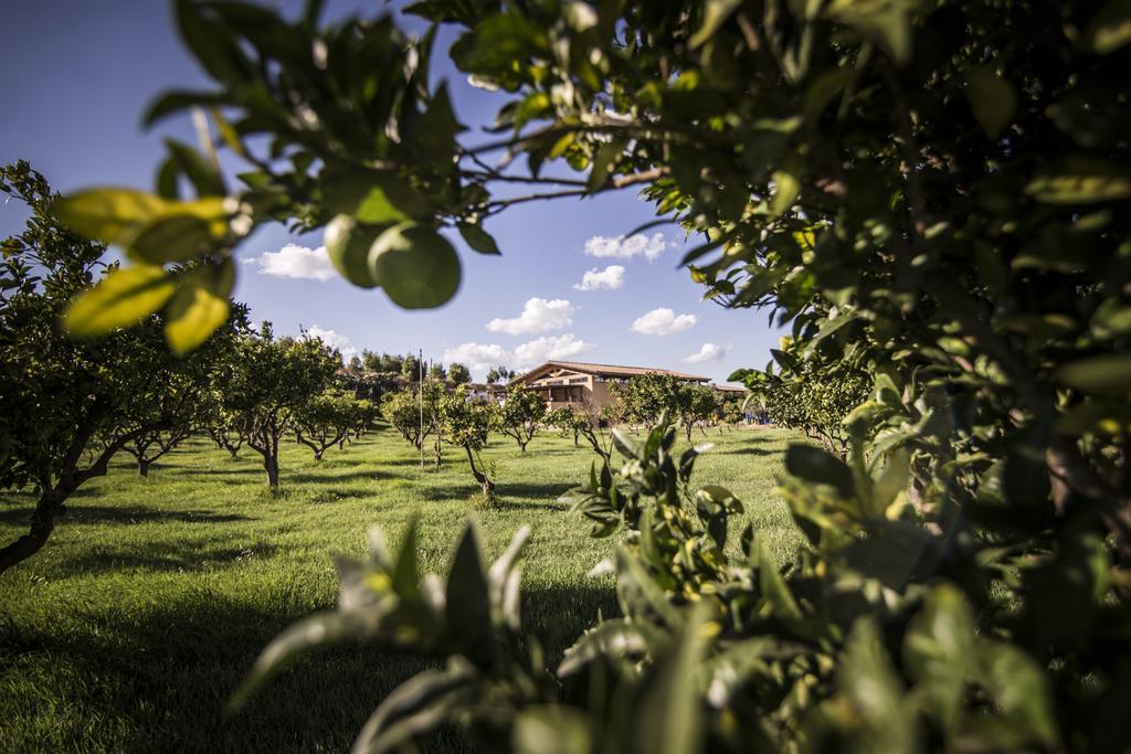 Agriturismo Il Giriatello Κρότωνας Εξωτερικό φωτογραφία