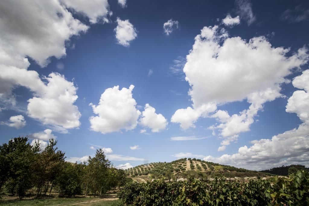 Agriturismo Il Giriatello Κρότωνας Εξωτερικό φωτογραφία