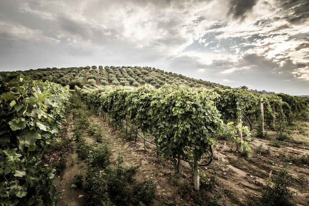 Agriturismo Il Giriatello Κρότωνας Εξωτερικό φωτογραφία