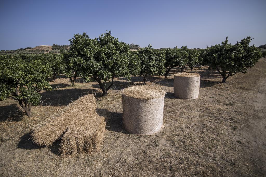 Agriturismo Il Giriatello Κρότωνας Εξωτερικό φωτογραφία