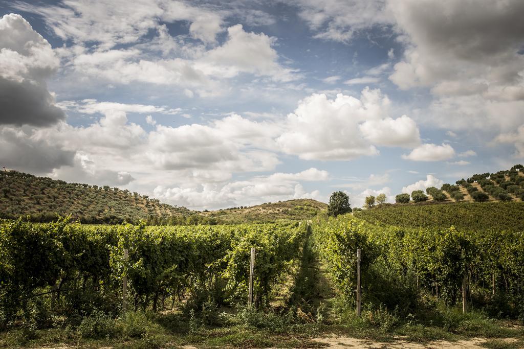 Agriturismo Il Giriatello Κρότωνας Εξωτερικό φωτογραφία