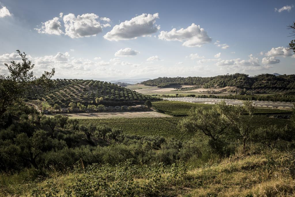 Agriturismo Il Giriatello Κρότωνας Εξωτερικό φωτογραφία