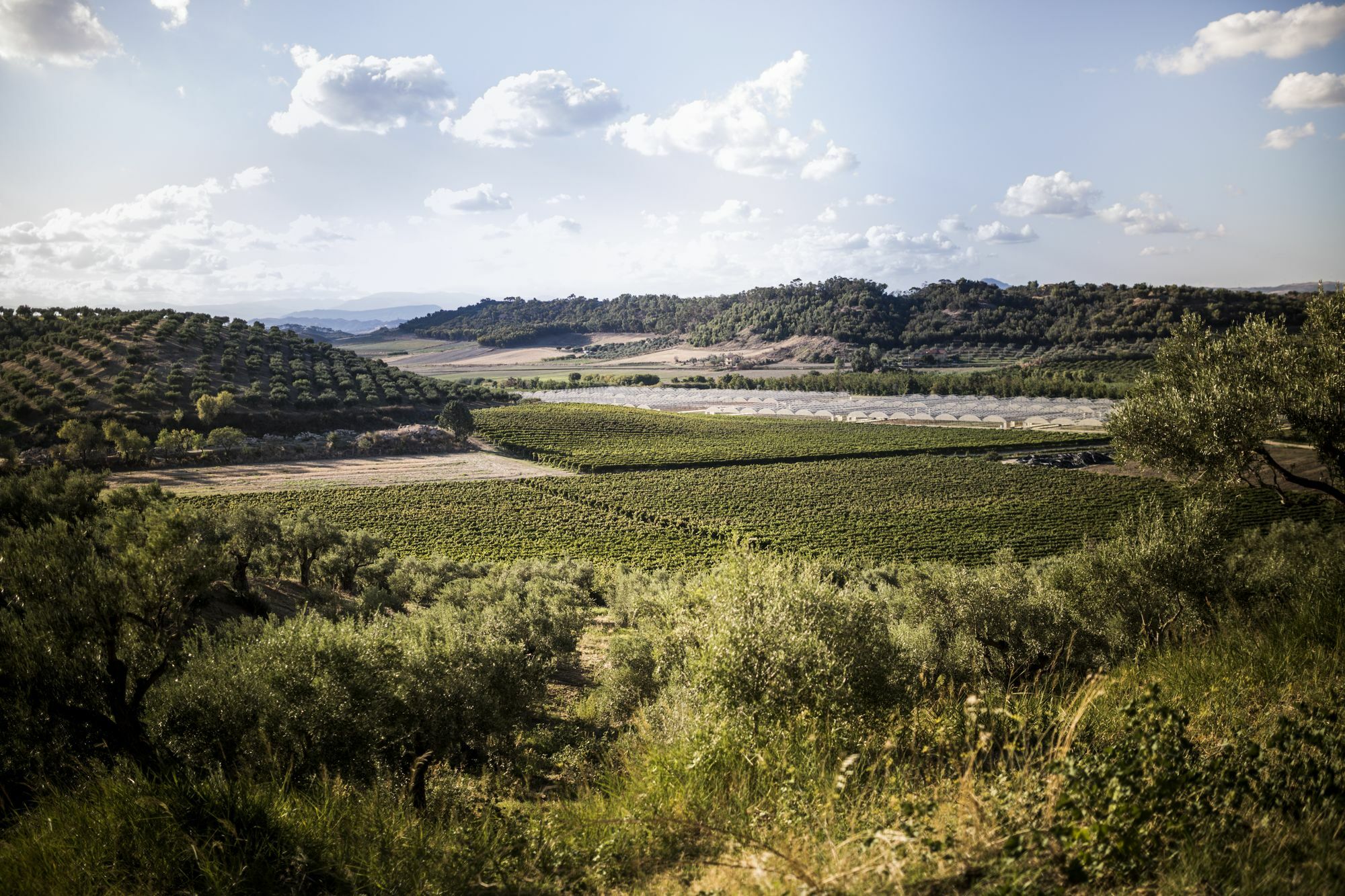 Agriturismo Il Giriatello Κρότωνας Εξωτερικό φωτογραφία